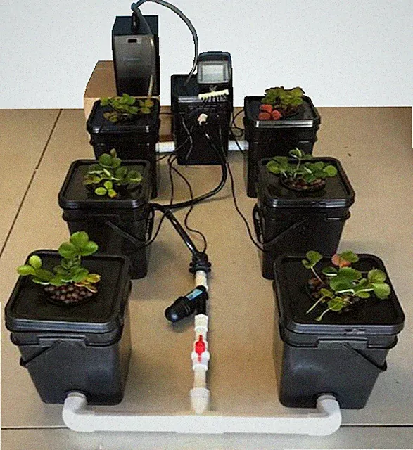 Southern Hydroponics Recirculating Deep Water Culture(DWC) 1+6 Hydro System